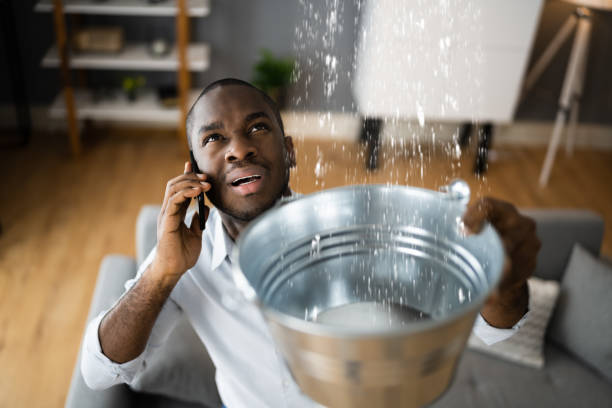 Best Local water damage restoration  in Verona, VA