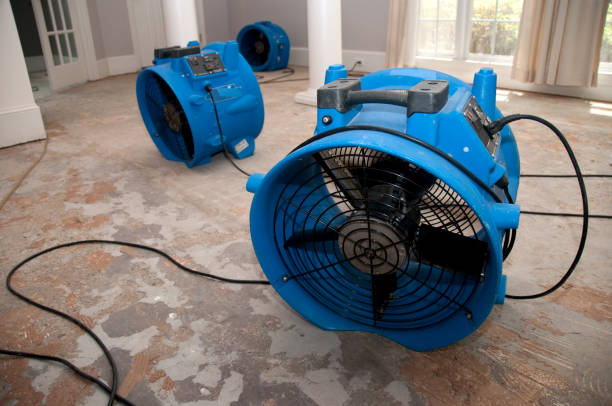 Best Professional water damage repair  in Verona, VA