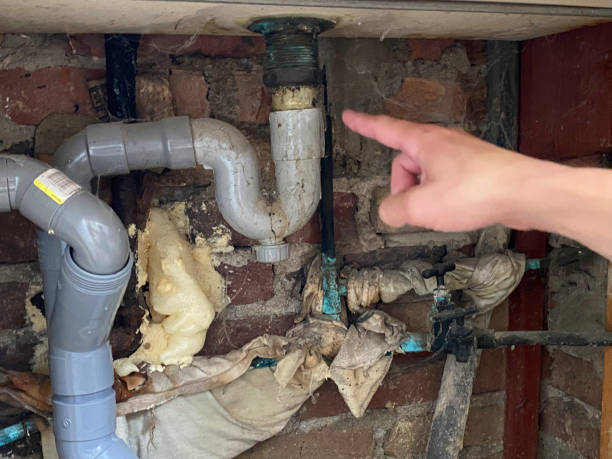 Best Flood damage cleanup  in Verona, VA